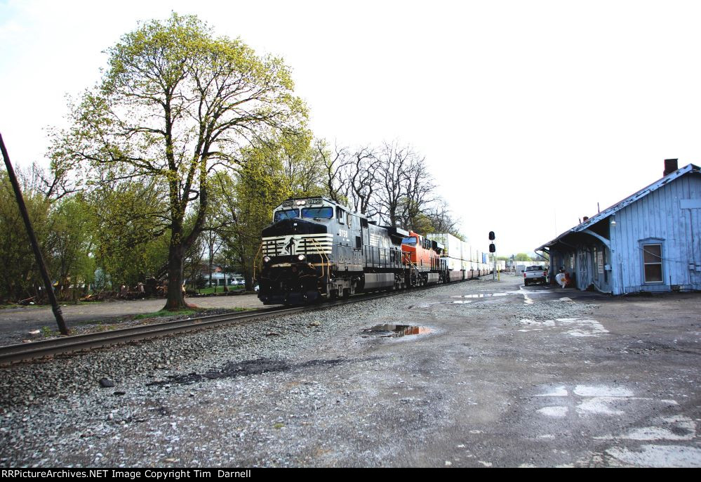 NS 9758 leads NS 265